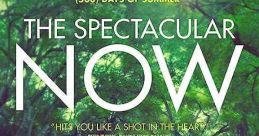 The Spectacular Now (2013)