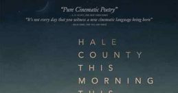 Hale County This Morning, This Evening (2018) A kaleidoscopic and humanistic view of the Black community in Hale County,