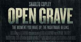 Open Grave (2013) A man wakes up in the wilderness, in a pit full of dead bodies, with no memory and must determine if the