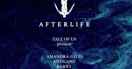 Afterlife (2017)