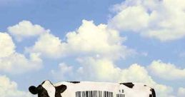 Food, Inc (2008)