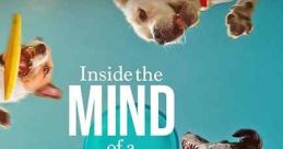 Inside the Mind of a Dog (2024)