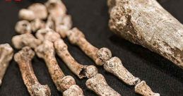 Unknown: Cave of Bones (2023) Follows Paleo anthropologist Lee Berger in South Africa, as he and his team try to prove that