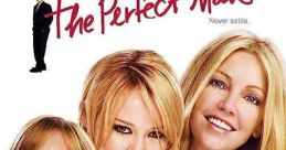 The Perfect Man (2005)