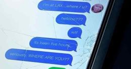 Missing (2023) After her mother goes missing, a young woman tries to find her from home, using tools available to her online.