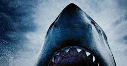 Swim (2021) A family gets trapped in their storm flooded vacation rental, tries to escape from a hungry shark that made