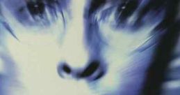 Photographing Fairies (1997)