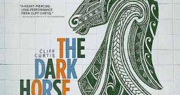 The Dark Horse (2014)