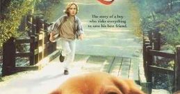 Shiloh (1996) A small-town Southern boy named Marty Preston must rescue a young beagle from his abusive owner, Judd