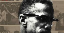 Who Killed Malcolm X? (2019) Activist Abdur-Rahman Muhammad begins his own investigation into the perplexing details