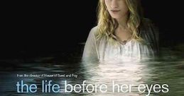 The Life Before Her Eyes (2007) A woman's survivor's guilt from a Columbine-like event twenty years ago causes her