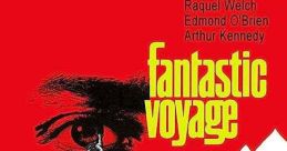 Fantastic Voyage (1966)