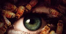 Candyman: Day of the Dead (1999)