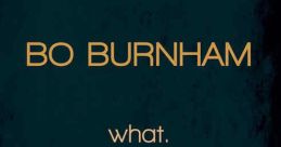 Bo Burnham: what (2013)