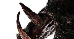 Boar (2017)