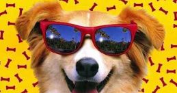 Bingo, the endearing dog star in the 1991 family movie, sporting sunglasses against a colorful background of dog bones.