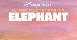 In the Footsteps of Elephant (2020)