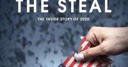 Stopping the Steal (2024)