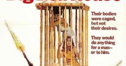 The Big Doll House (1971)