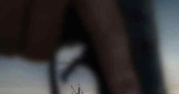 Finestkind (2023)