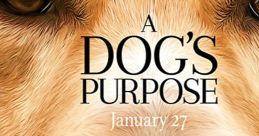 Close-up of a dog's face promoting "A Dog's Purpose," showcasing its emotional depth. Release date: January 27.