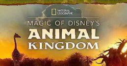 Magic of Disney's Animal Kingdom (2020) A documentary series which takes viewers behind the scenes with the animal-care