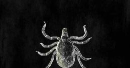The Quiet Epidemic (2022) A young girl and a Duke University scientist are both diagnosed with chronic Lyme disease, and