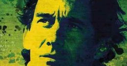 Senna (2010)