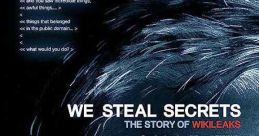 We Steal Secrets (2013)