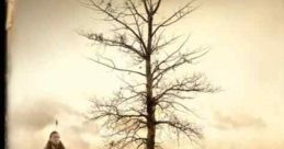 Bury My Heart at Wounded Knee (2007)