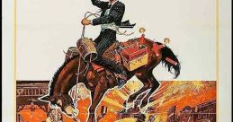 Support Your Local Gunfighter (1971)