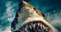 Into the Deep (2025) Modern day pirates on the hunt for sunken drugs kidnap a boat of tourists and force them to dive into