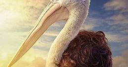 Storm Boy (2019)