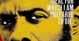 Mandela: Long Walk to Freedom (2013)