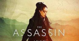 The Assassin (2015)