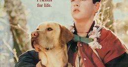 Far from Home: The Adventures of Yellow Dog (1995)