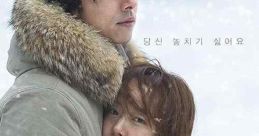 A Man and a Woman (2016)