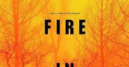 Fire in Paradise (2019)