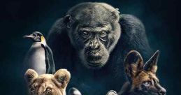 Dynasties (2018)