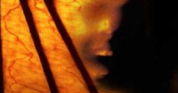 Jeepers Creepers 2 (2003)