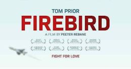 Firebird (2021) Firebird follows a handsome, soulful young soldier who embarks on a clandestine sexual affair with a