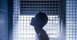 Crown Heights (2017) When Colin Warner is wrongfully convicted of murder, his best friend Carl King devotes his life to
