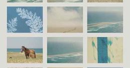 Geographies of Solitude (2022)