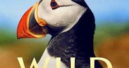 Wild Isles (2023)