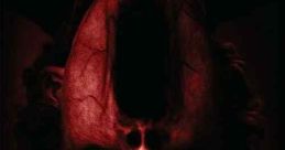 Hidden 3D (2011)