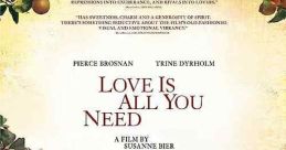 Love Is All You Need (2012)