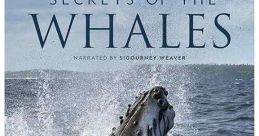 Secrets of the Whales (2021)