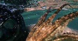 My Octopus Teacher (2020) A filmmaker forges an unusual friendship with an octopus living in a South African kelp forest,