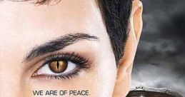 V (2009)