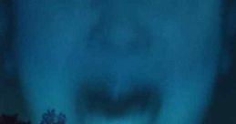 Somewhere Quiet (2024)